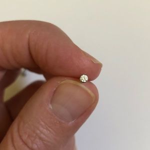 Royale Swarovski crystal titanium earring, large